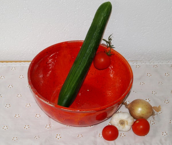 Salatschüssel große Schale rote Keramik getöpfert