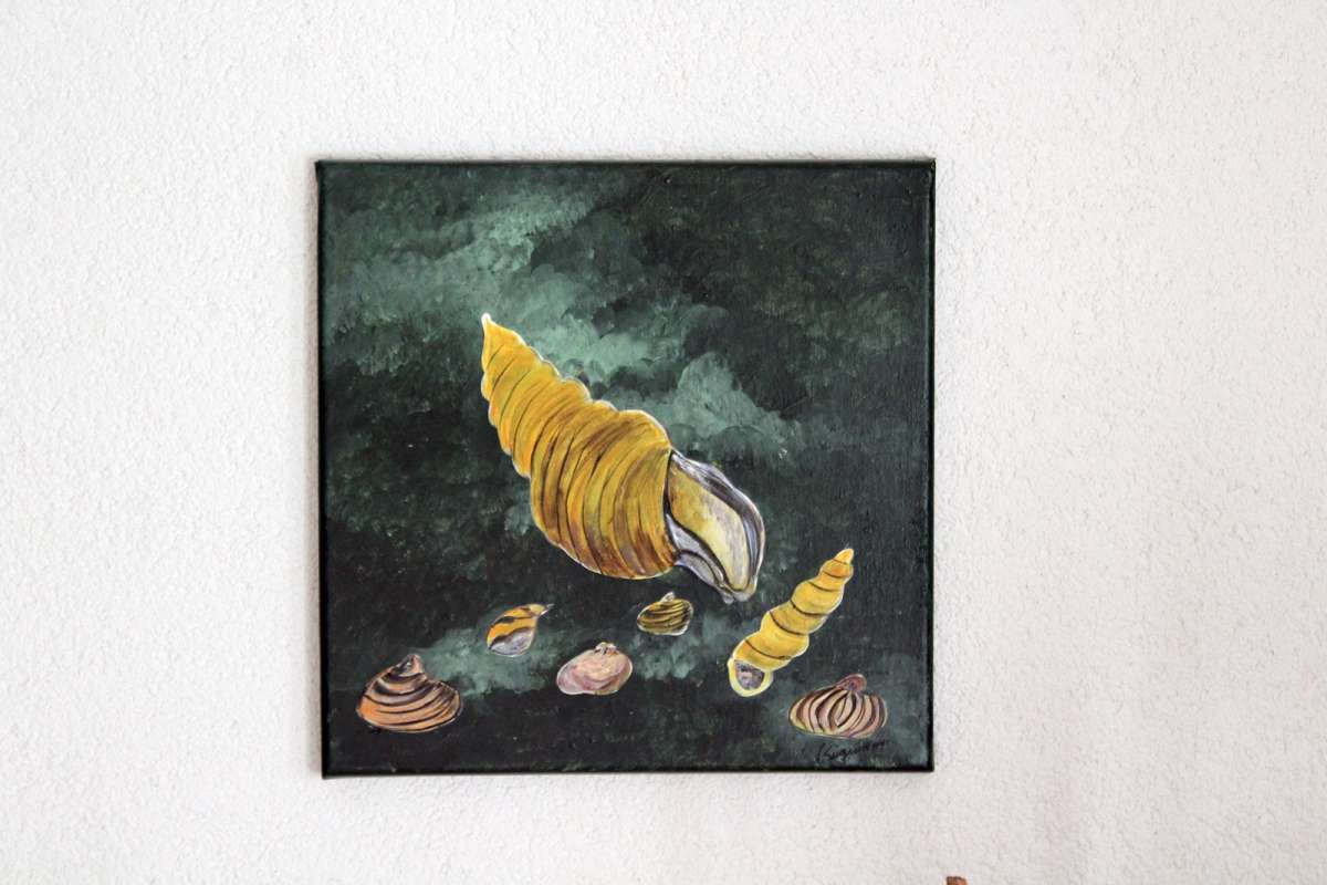 Bild Muscheln gemalt 30 x 30 Einzelstück Geschenk Kyffairtrieb